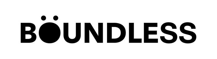 Boundless Logo